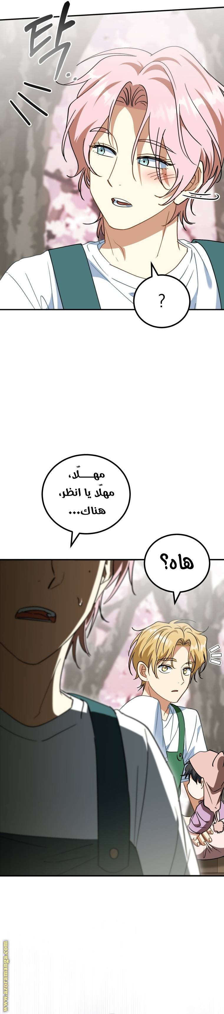 الصفحة 27