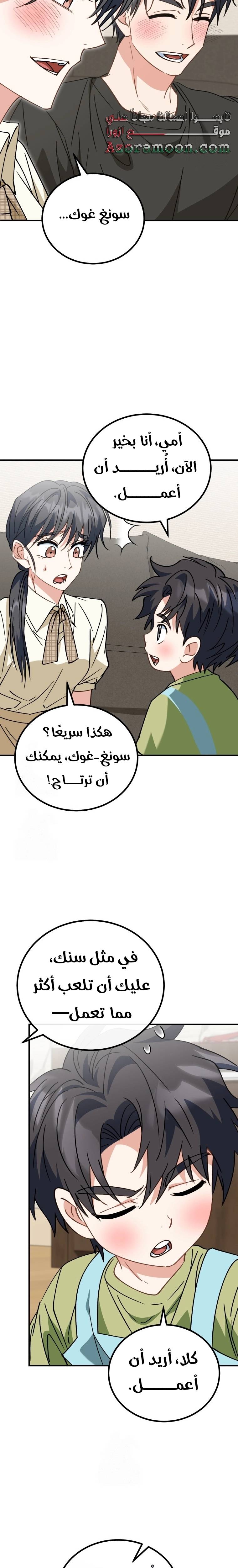 الصفحة 17