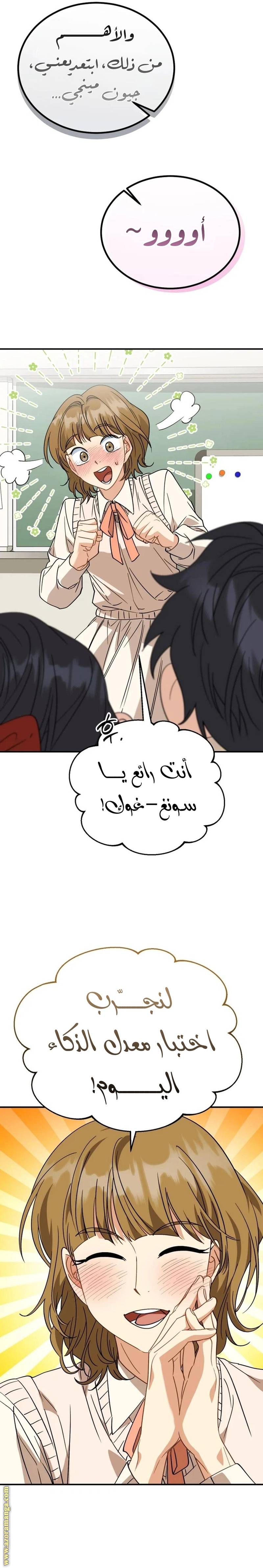 الصفحة 17