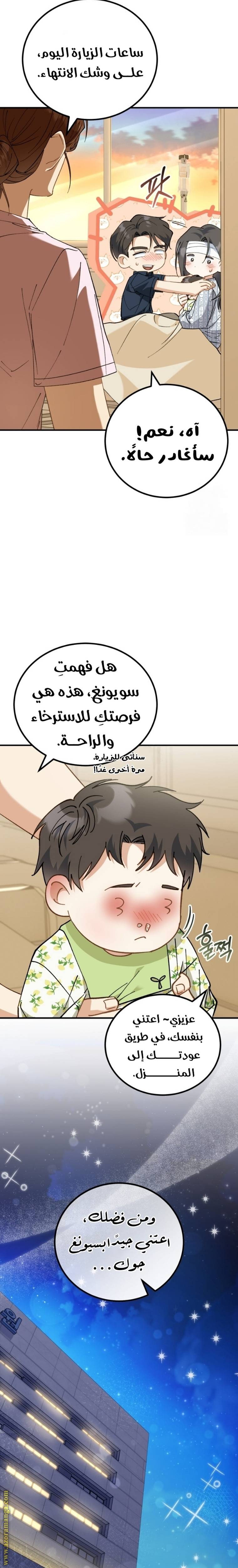الصفحة 17