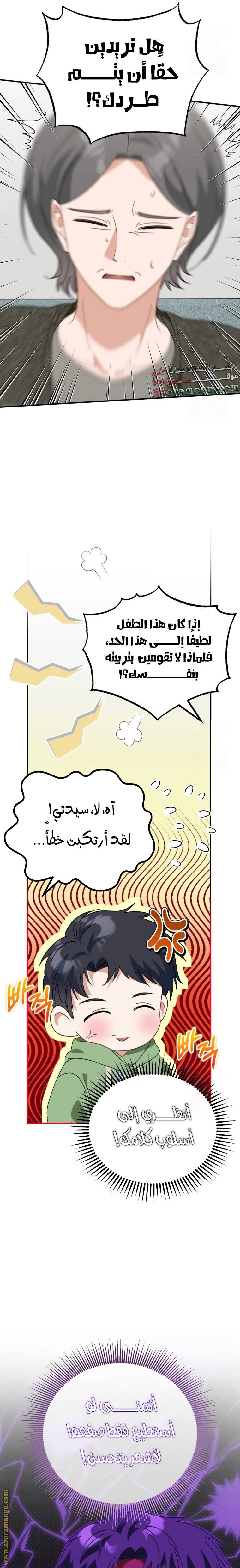 الصفحة 13
