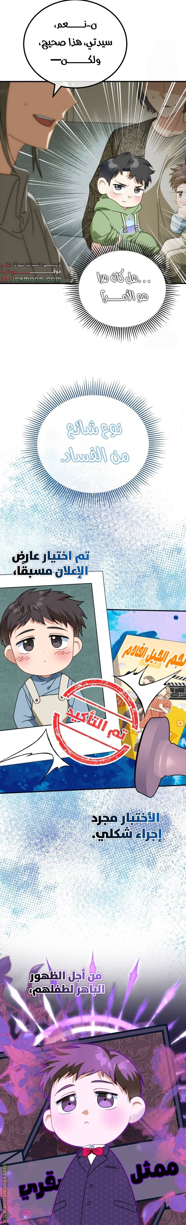 الصفحة 17
