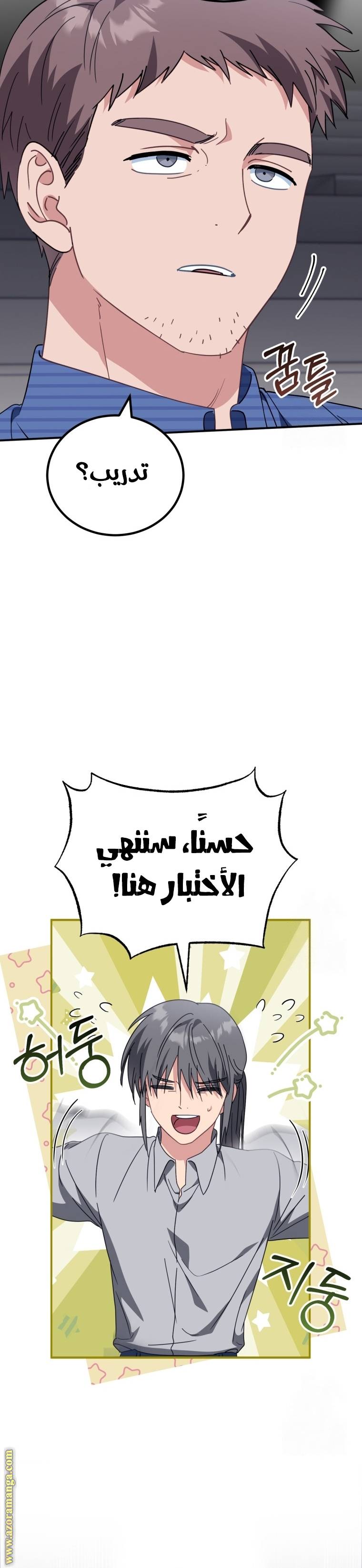 الصفحة 29