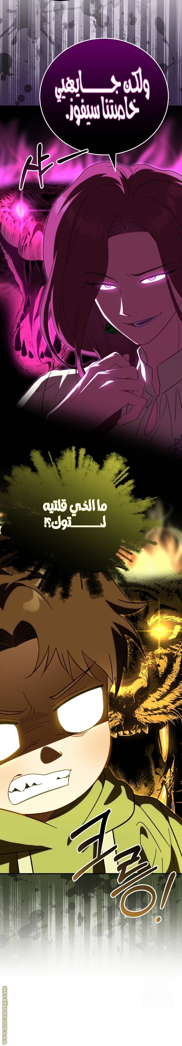 الصفحة 13