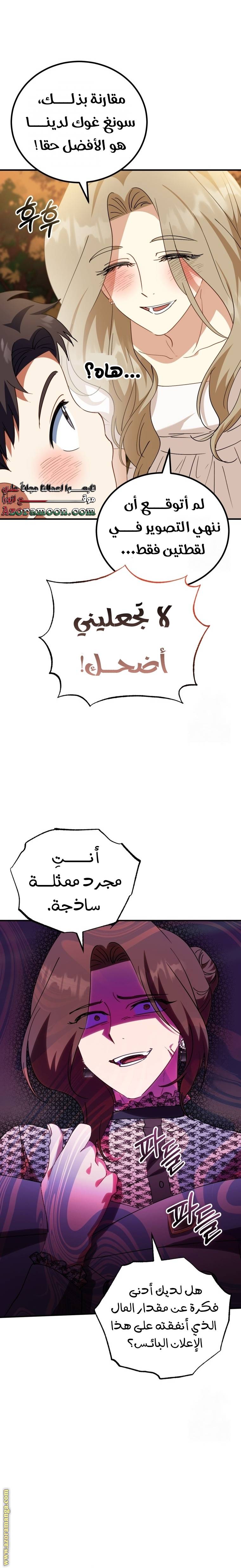 الصفحة 17