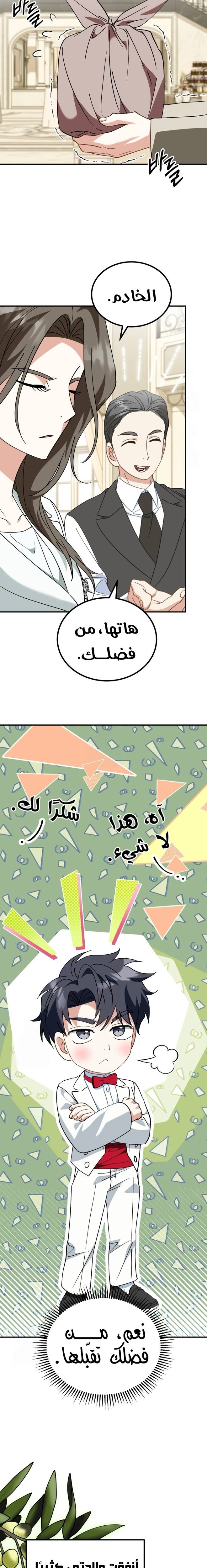 الصفحة 13