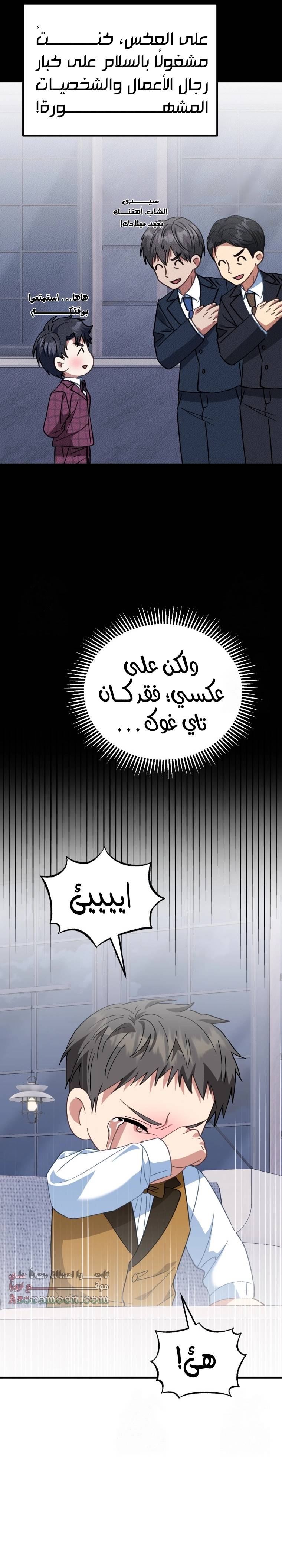 الصفحة 17