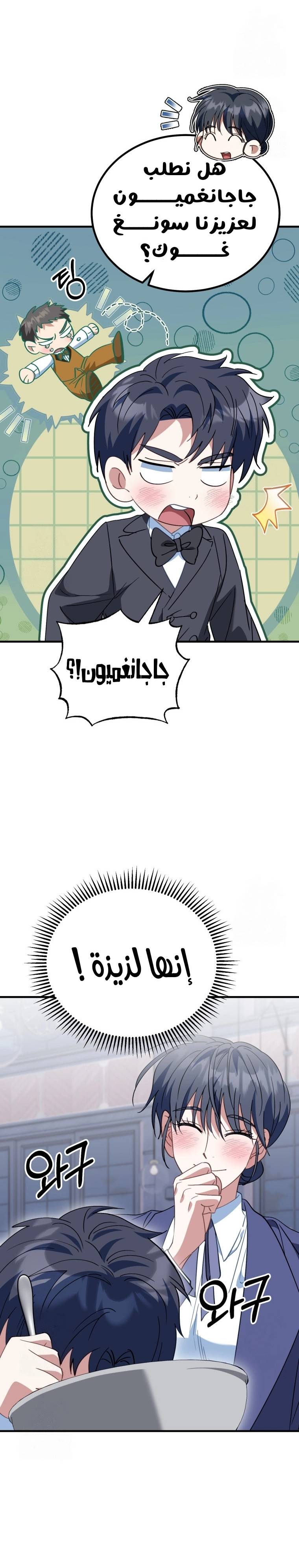 الصفحة 19