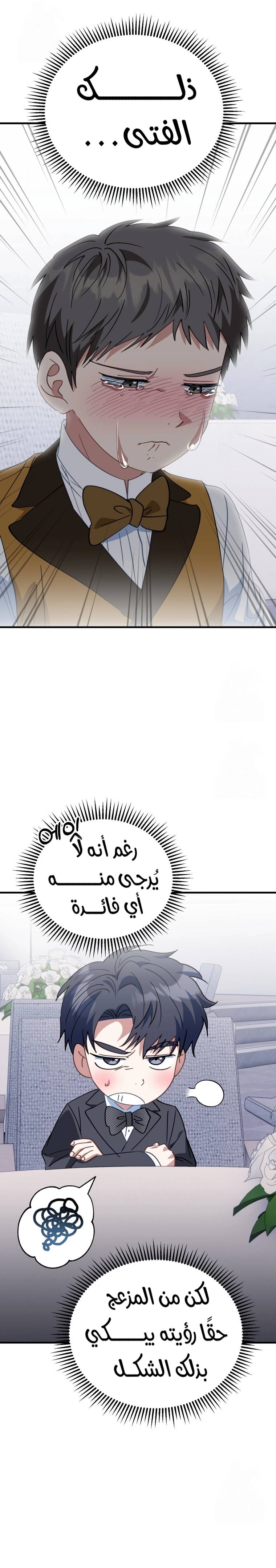 الصفحة 25