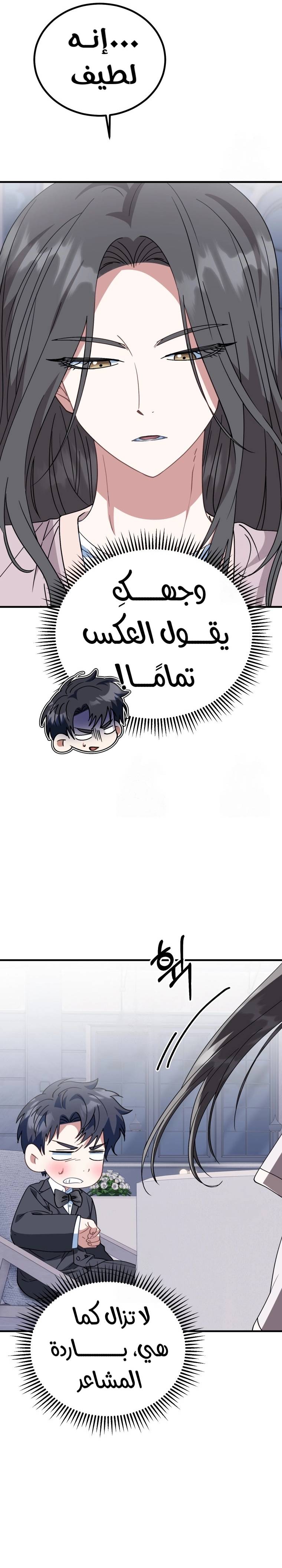 الصفحة 30