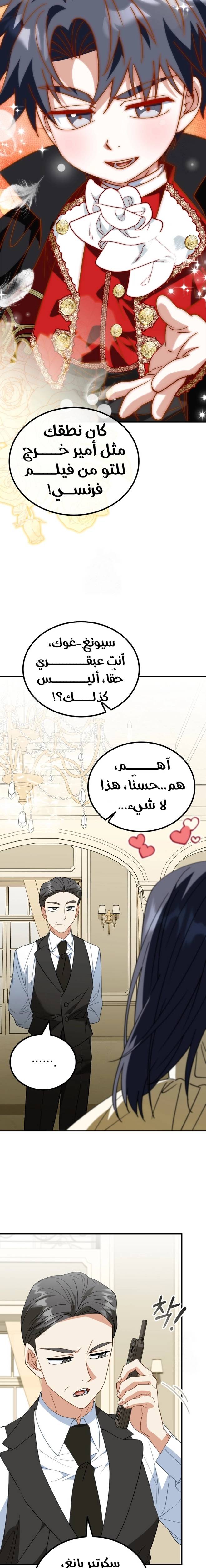 الصفحة 14