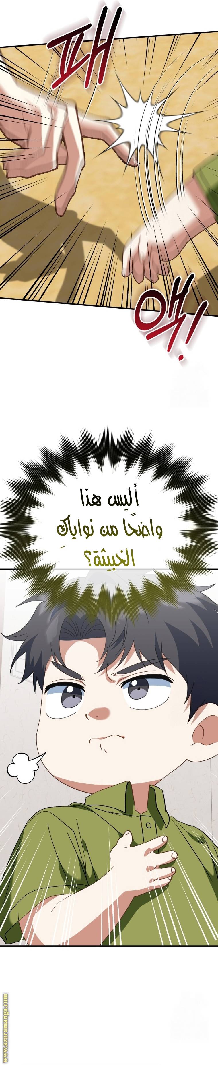 الصفحة 13