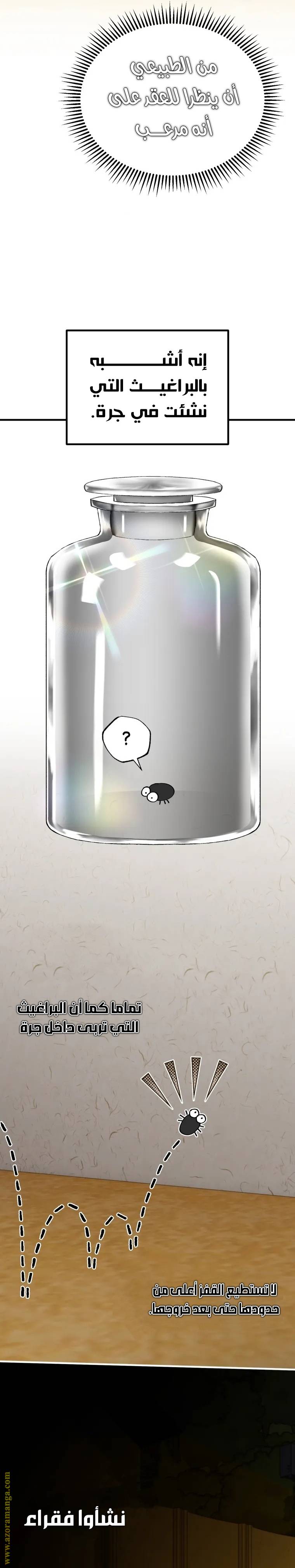 الصفحة 22