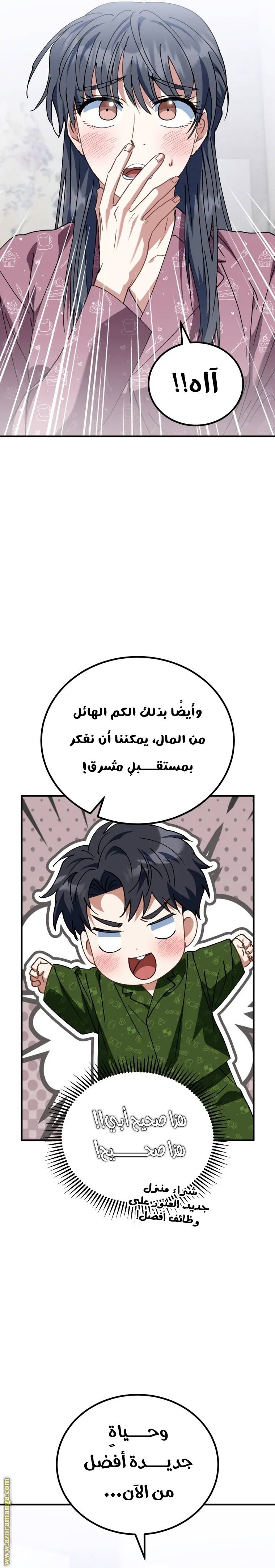الصفحة 27