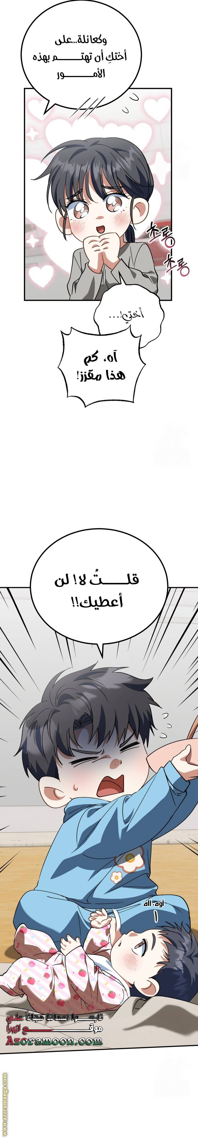 الصفحة 13