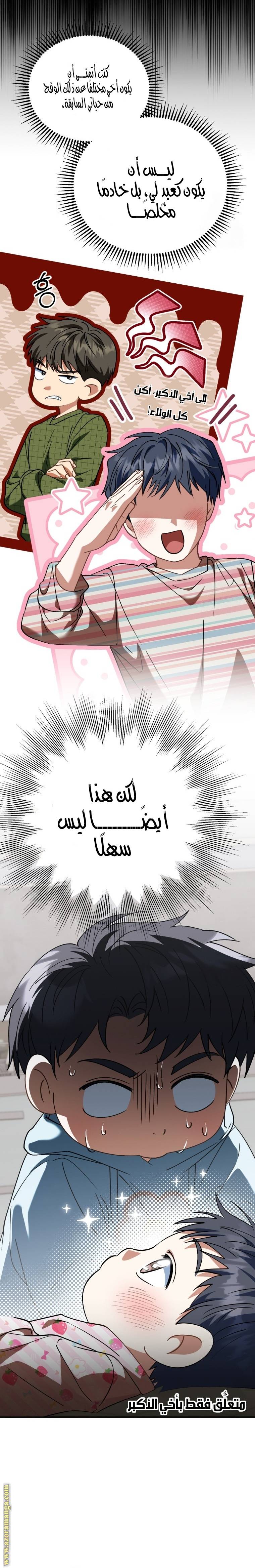 الصفحة 17