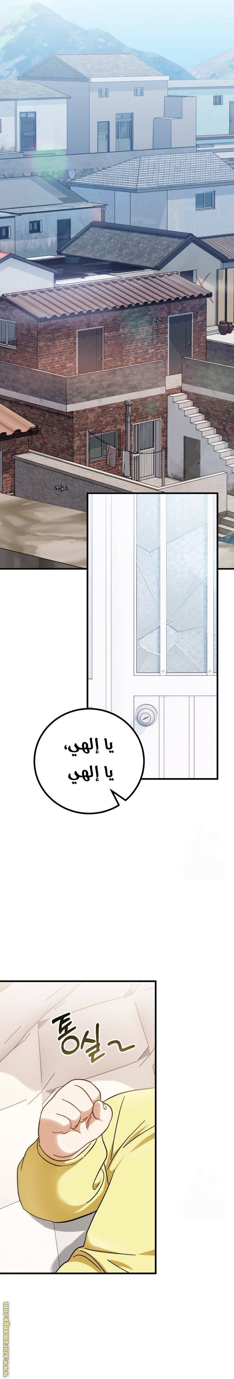 الصفحة 15