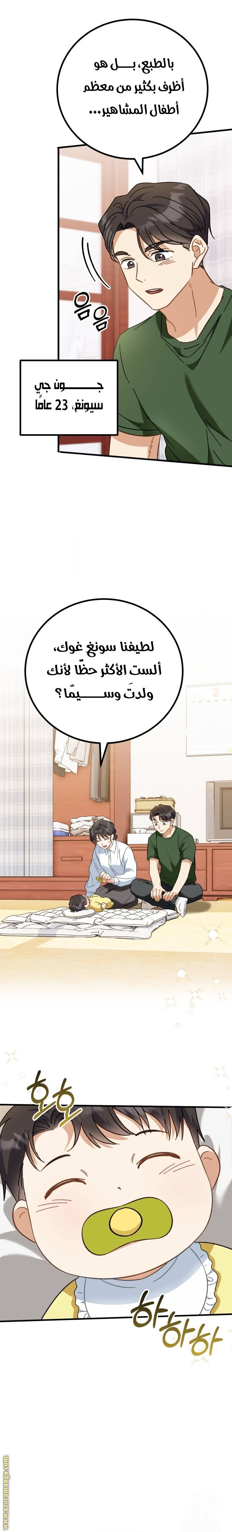 الصفحة 17