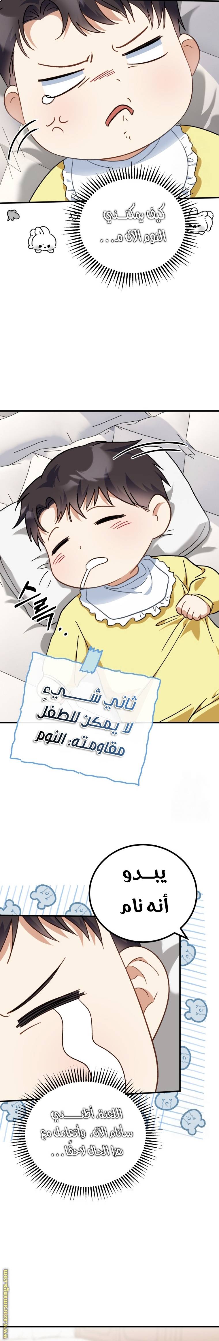 الصفحة 29