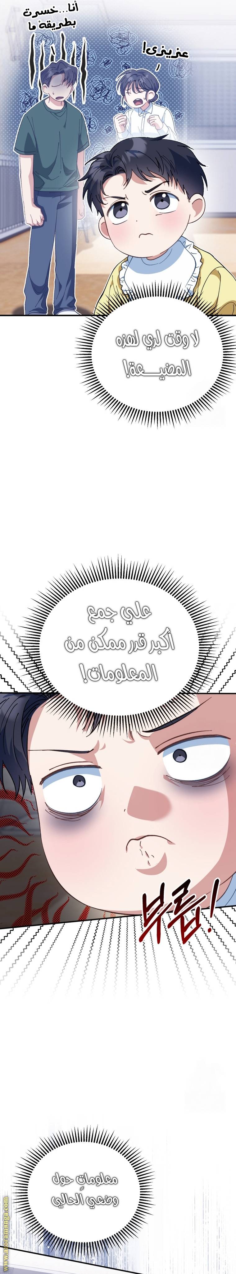 الصفحة 17