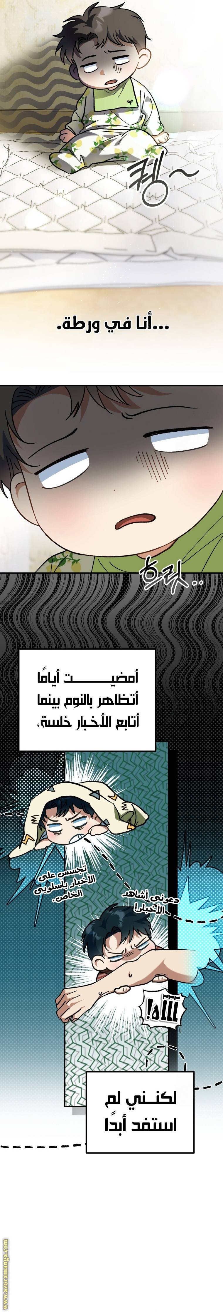 الصفحة 27