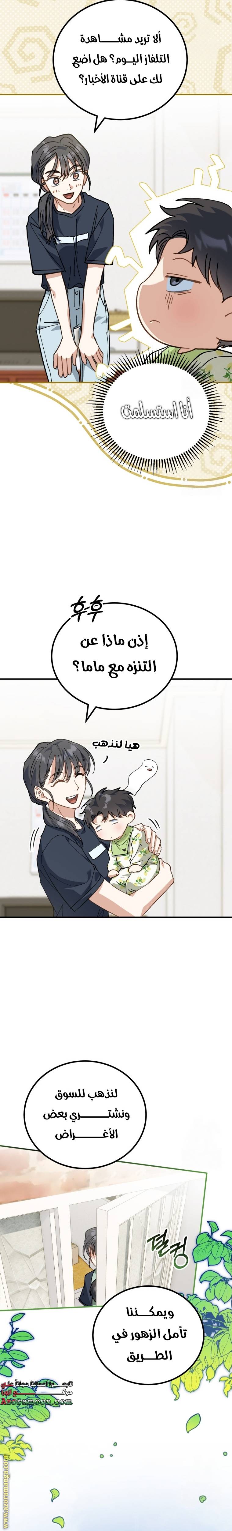 الصفحة 29