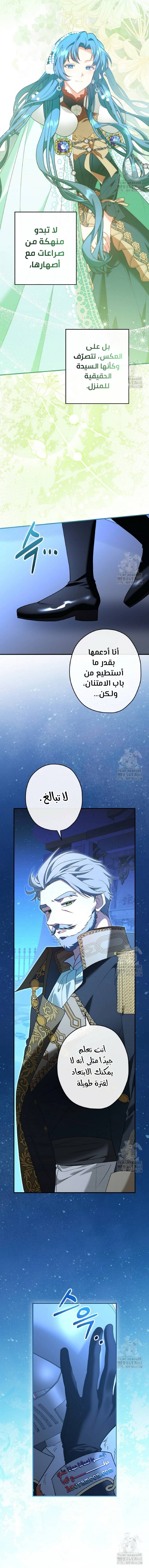 الصفحة 13