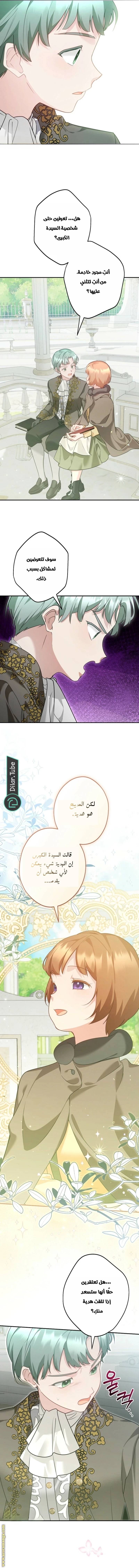 الصفحة 13