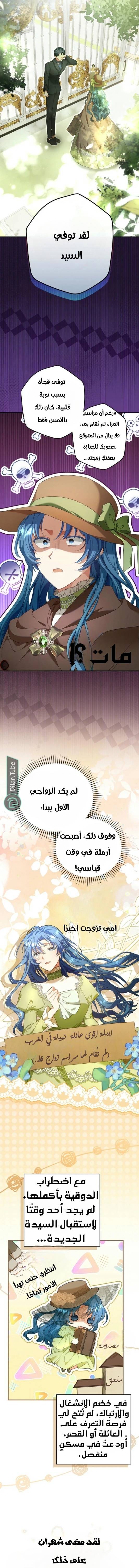الصفحة 11