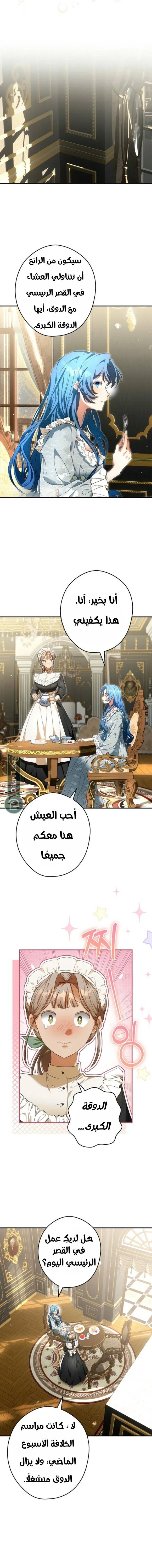 الصفحة 12