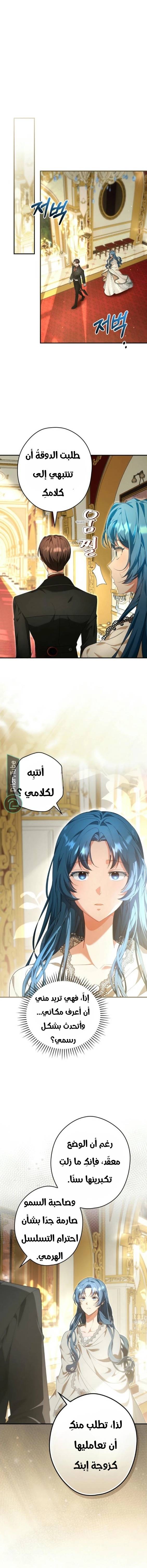 الصفحة 16