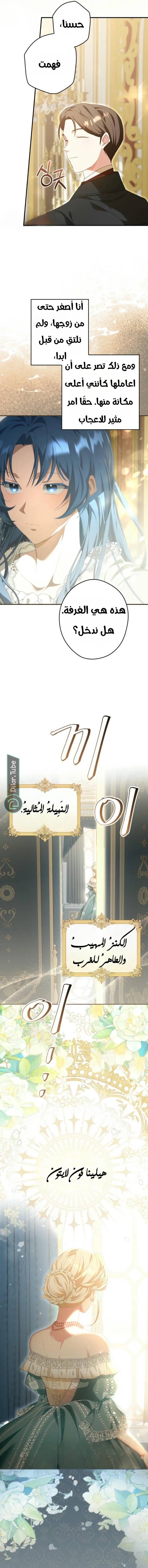 الصفحة 17