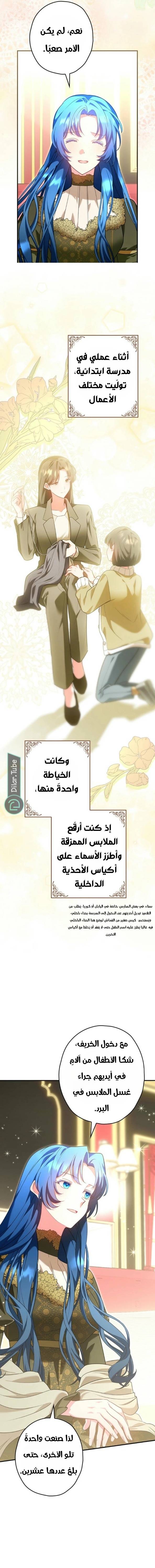 الصفحة 13