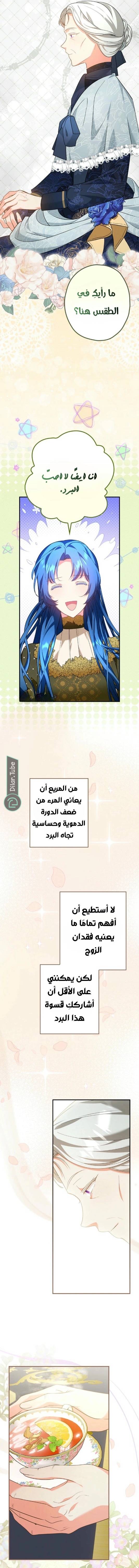الصفحة 17