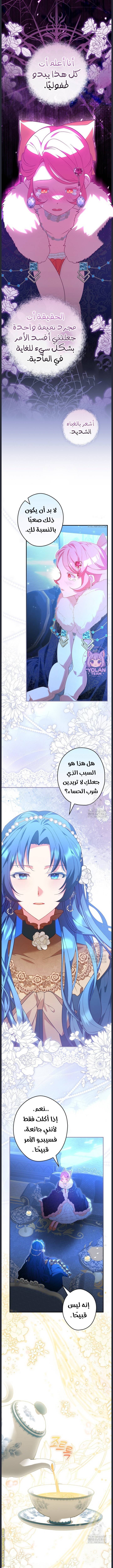الصفحة 14