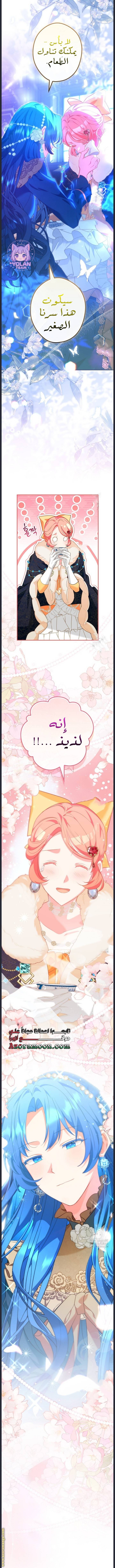 الصفحة 16
