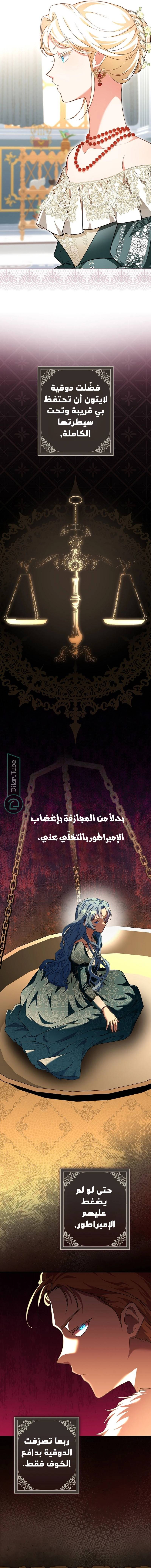 الصفحة 19