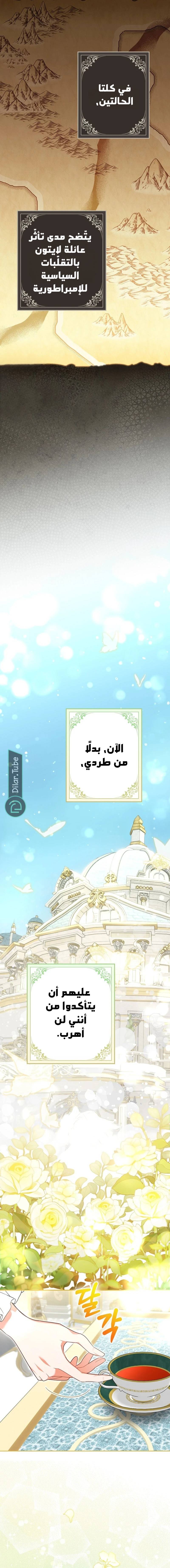 الصفحة 20