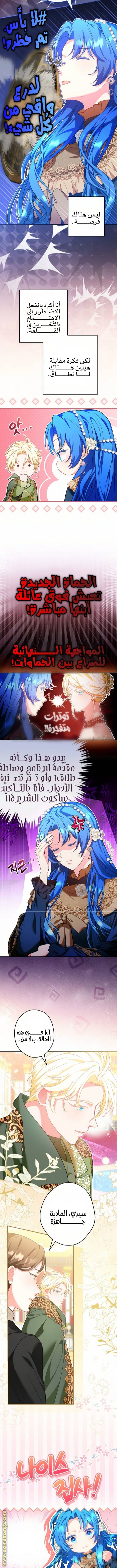الصفحة 3
