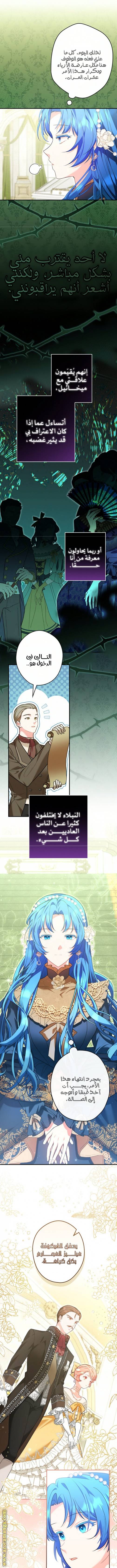 الصفحة 5