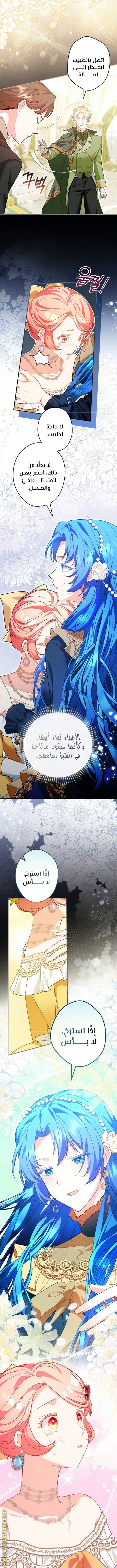 الصفحة 12