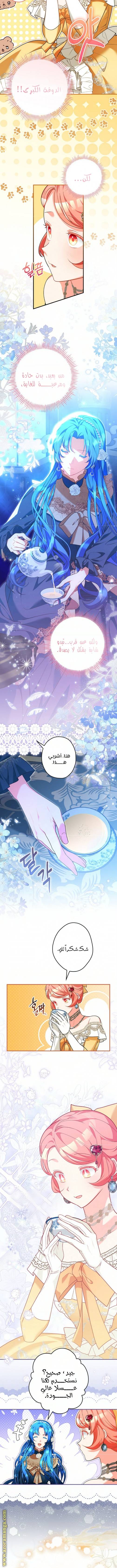 الصفحة 14