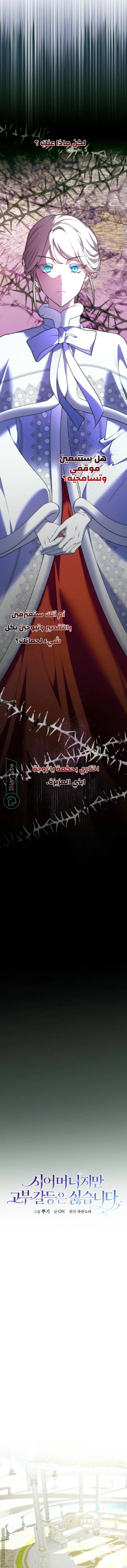 الصفحة 13