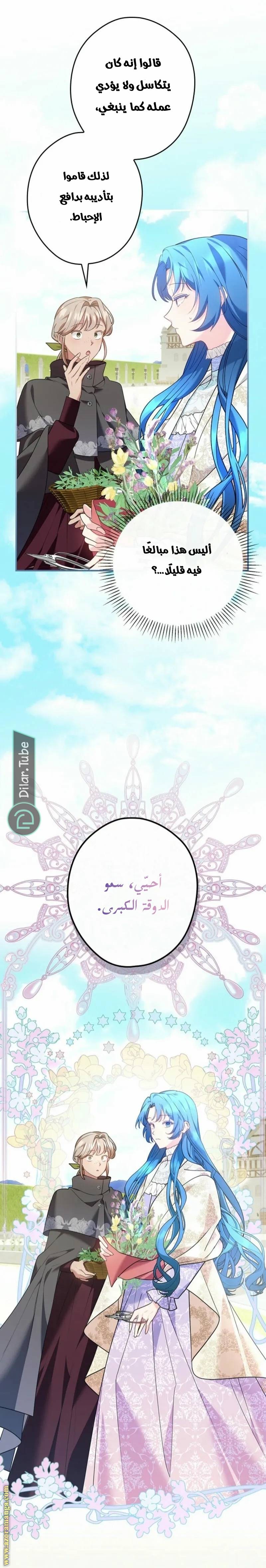 الصفحة 17