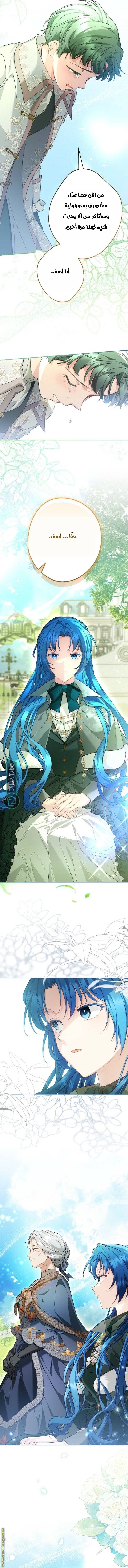الصفحة 12
