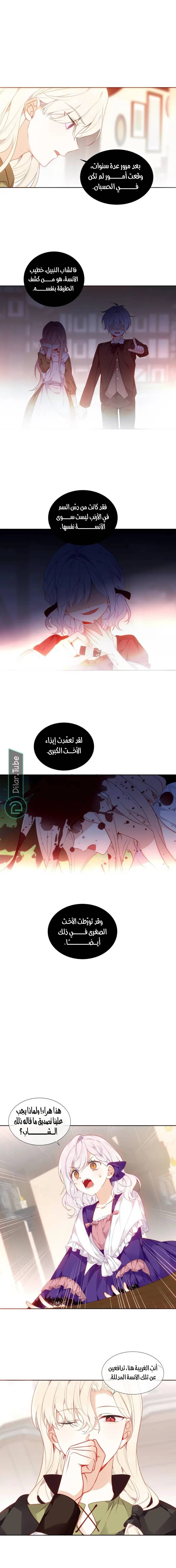 الصفحة 11