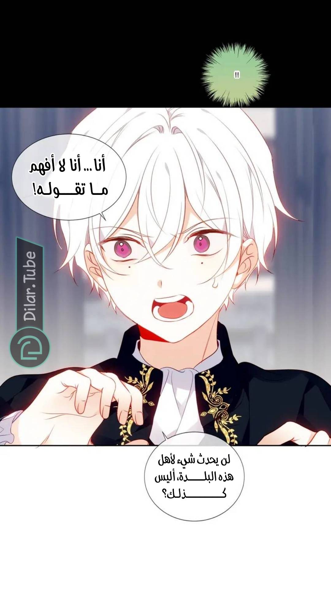 الصفحة 13