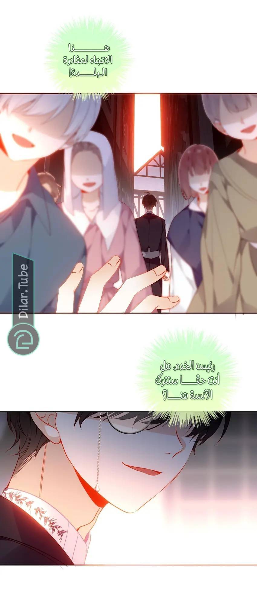 الصفحة 17