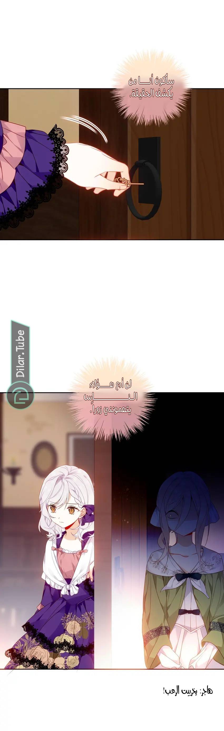 الصفحة 25