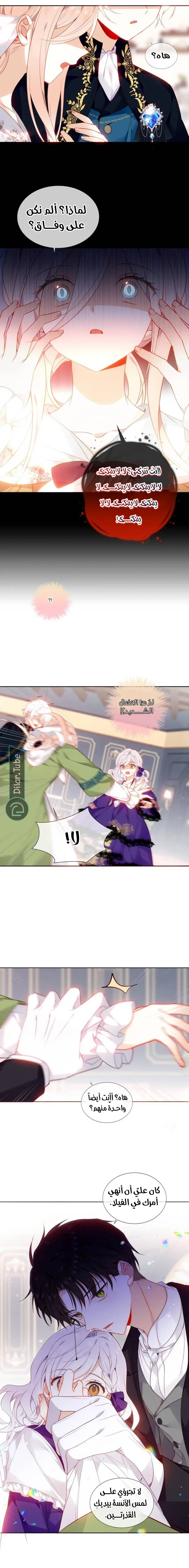 الصفحة 7
